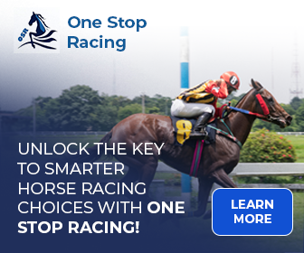 One Stop Racing - Static Banner