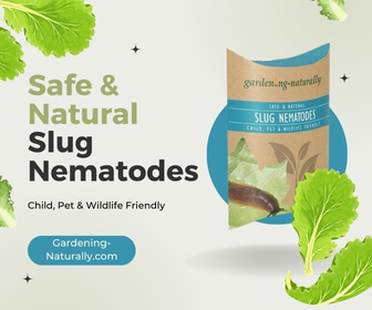 Safe and Natural Slug Nematodes