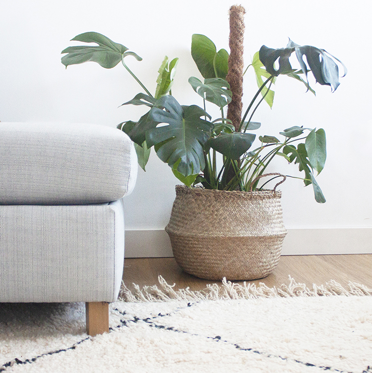 Berber rug and seagrass basket