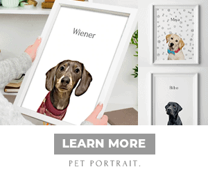 Pet portraits are a great present for any pet owner.