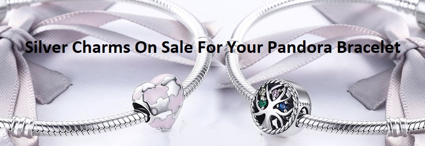 Silver Charms On Sale Save 40%