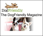 The Dogfriendly Magazine