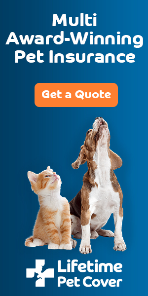 Buster and Luna - Get a Quote