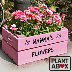 Plantabox gifts for mum
