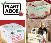 Personalised Wooden Apple Crates, Buy Custom UK - Plantabox